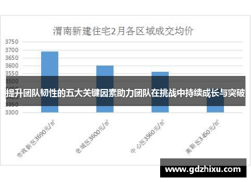 提升团队韧性的五大关键因素助力团队在挑战中持续成长与突破 提升团队韧性的五大关键因素助力团队在挑战中持续成长与突破